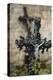 France, Basse-Normandy, Manche, Cemetery of the Abbey Mont-Saint-Michel, Crucifix-Andreas Keil-Premier Image Canvas