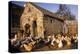 France Farmyard with Chickens-null-Premier Image Canvas