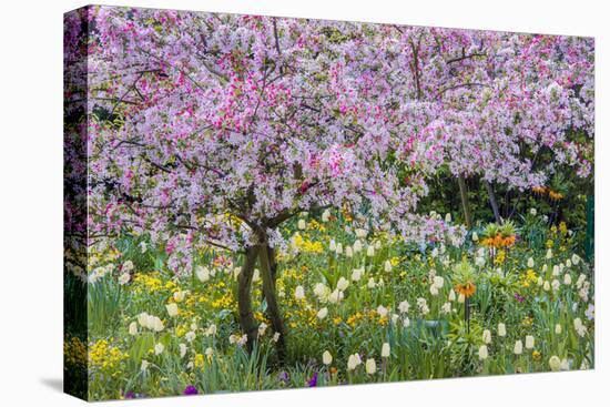 France, Giverny. Springtime in Claude Monet's Garden-Jaynes Gallery-Premier Image Canvas