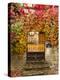 France, Midi-Pyrenees Region, Tarn Department, Cordes-Sur-Ciel, Gate with Autumn Foliage-Walter Bibikow-Premier Image Canvas