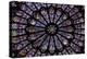 France, Paris, Notre Dame, Rose Window-null-Premier Image Canvas