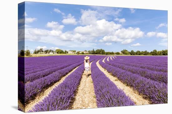 France, Provence Alps Cote D'Azur, Vaucluse, Banon. Woman Walking in Lavender Field in Summer (Mr)-Matteo Colombo-Premier Image Canvas