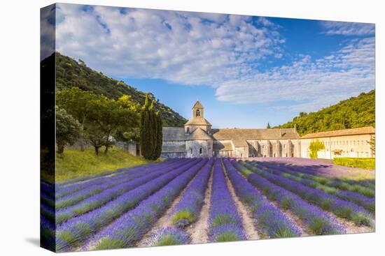 France, Provence Alps Cote D'Azur, Vaucluse. Famous Senanque Abbey in the Morning-Matteo Colombo-Premier Image Canvas
