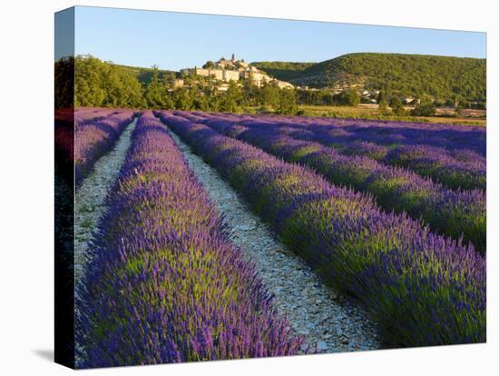 France, Provence, Banon, Lavender to Foreground-Shaun Egan-Premier Image Canvas