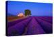France, Provence. Lavender field in the Valensole Plateau.-Jaynes Gallery-Premier Image Canvas
