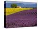 France, Provence, Old Farm House in Field of Lavender and Sunflowers-Terry Eggers-Premier Image Canvas