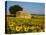 France, Provence, Old Farm House in Field of Sunflowers-Terry Eggers-Premier Image Canvas