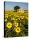 France, Provence, Old Farm House in Field of Sunflowers-Terry Eggers-Premier Image Canvas