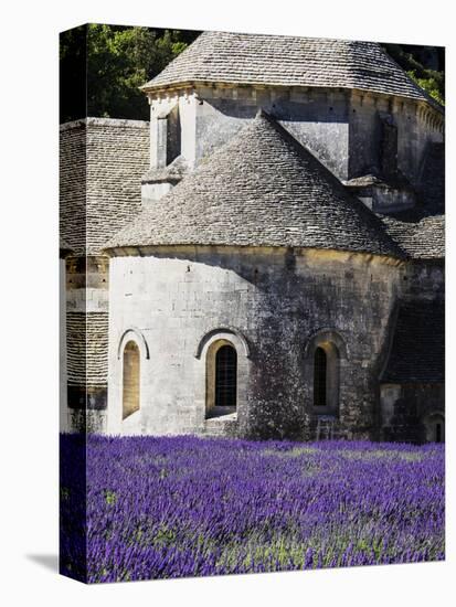 France, Provence, Seananque Abbey, Seananque Abbey with Lavender in Full Bloom-Terry Eggers-Premier Image Canvas