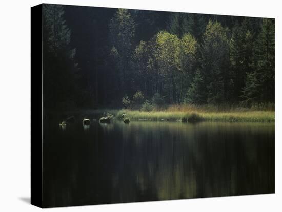 France, Vosges Mountains, Lac Du Lispach in Autumn-Andreas Keil-Premier Image Canvas