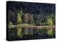 France, Vosges Mountains, Lac Du Lispach in Autumn-Andreas Keil-Premier Image Canvas