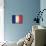 France-David Bowman-Premier Image Canvas displayed on a wall