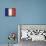 France-David Bowman-Premier Image Canvas displayed on a wall