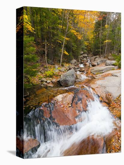 Franconia Notch State Park, New Hampshire, New England, United States of America, North America-Alan Copson-Premier Image Canvas