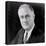 Franklin Delano Roosevelt, circa 1933-Elias Goldensky-Stretched Canvas