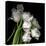 Frayed Tulips-Magda Indigo-Stretched Canvas