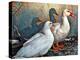 Fred & Lucy Duck Family-sylvia pimental-Stretched Canvas