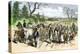 Freed Negroes Coming into the Union Lines at Newbern Nc, after the Emancipation Proclamation, 1863-null-Premier Image Canvas
