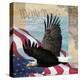 Freedom II-Todd Williams-Stretched Canvas