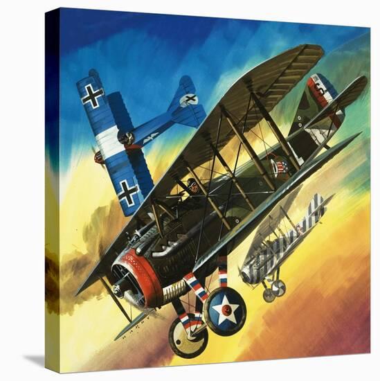 Freedom of the Skies: Yankee Super Ace. Edward Rickenbacker-Wilf Hardy-Premier Image Canvas