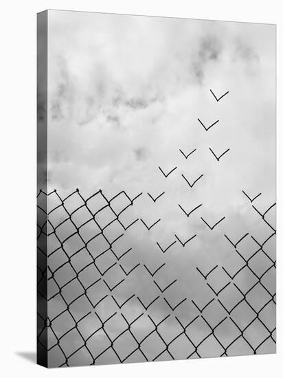 Freedom-Daniel Alonso-Stretched Canvas