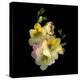 Freesia-Magda Indigo-Premier Image Canvas