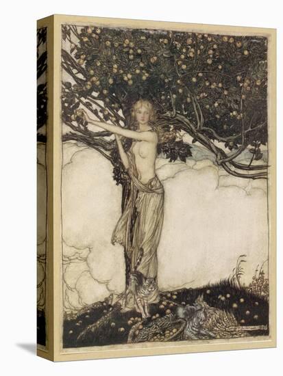 Freia, Rackham-Arthur Rackham-Premier Image Canvas