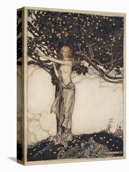Freia, the fair one, illustration from 'The Rhinegold and the Valkyrie', 1910-Arthur Rackham-Premier Image Canvas