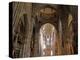 Freiburg Minster, Freiburg, Baden-Wurttemberg, Germany, Europe-Hans Peter Merten-Premier Image Canvas