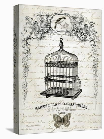 French Birdcage II-Gwendolyn Babbitt-Stretched Canvas