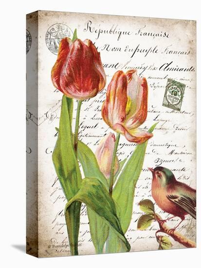 French Botanical II-Gwendolyn Babbitt-Stretched Canvas