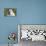 French Bulldog 26-Bob Langrish-Premier Image Canvas displayed on a wall