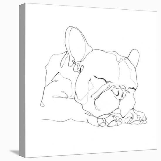 French Bulldog Contour II-Ethan Harper-Stretched Canvas