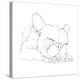 French Bulldog Contour II-Ethan Harper-Stretched Canvas