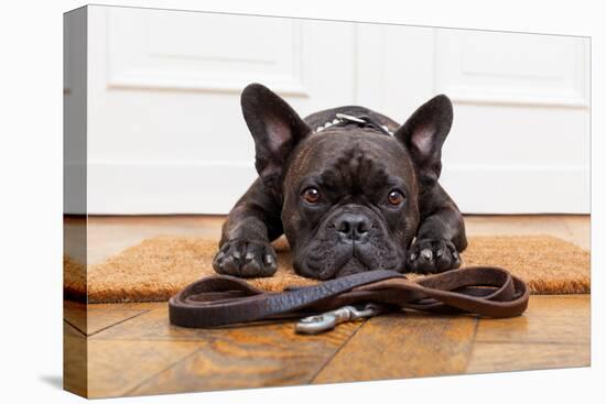 French Bulldog Dog Waiting and Begging to Go for a Walk with Owner , Sitting or Lying on Doormat-Javier Brosch-Premier Image Canvas
