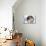 French Bulldog Puppy inside the Washing Machine-Patryk Kosmider-Premier Image Canvas displayed on a wall