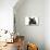 French Bulldog Puppy-null-Premier Image Canvas displayed on a wall