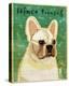 French Bulldog (White)-John W Golden-Stretched Canvas