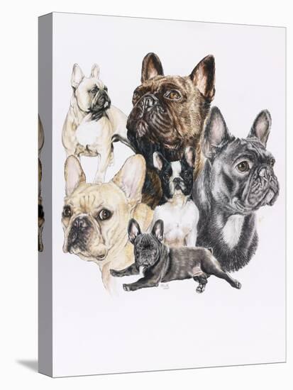 French Bulldog-Barbara Keith-Premier Image Canvas