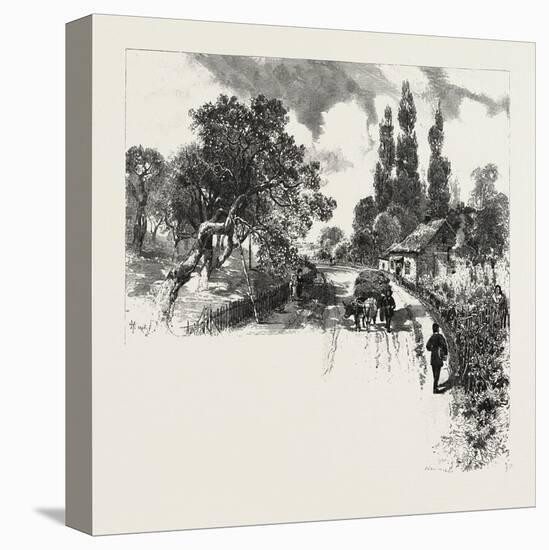 French Canadian Life, an Old Orchard, Canada, Nineteenth Century-null-Premier Image Canvas