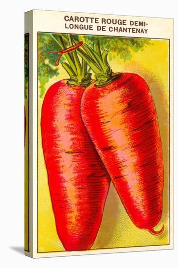French Carrot Seed Packet-null-Stretched Canvas