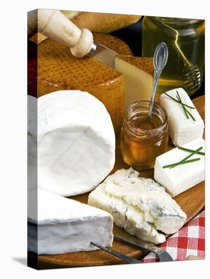 French Cheeses and Honey, France-Nico Tondini-Premier Image Canvas