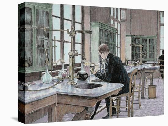 French Chemist and Bacteriologist. Study of Microbes in the Pasteur Institute-Prisma Archivo-Premier Image Canvas