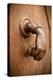 French Door Knocker I-Erin Berzel-Premier Image Canvas