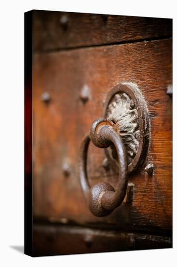 French Door Knocker IV-Erin Berzel-Premier Image Canvas