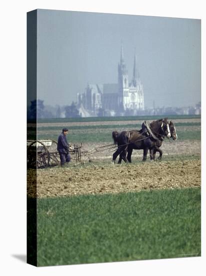 French Farmer Laying Fertilizer on His Field with a Team of Percheron Horses-Loomis Dean-Premier Image Canvas