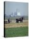 French Farmer Laying Fertilizer on His Field with a Team of Percheron Horses-Loomis Dean-Premier Image Canvas