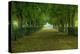 French Gardens-Shelley Lake-Stretched Canvas