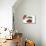 French Produce Tomato-null-Premier Image Canvas displayed on a wall