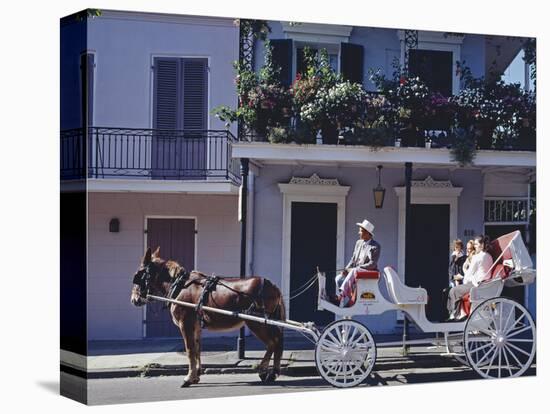 French Quarter Mule Ride in Carriage-Carol Highsmith-Stretched Canvas